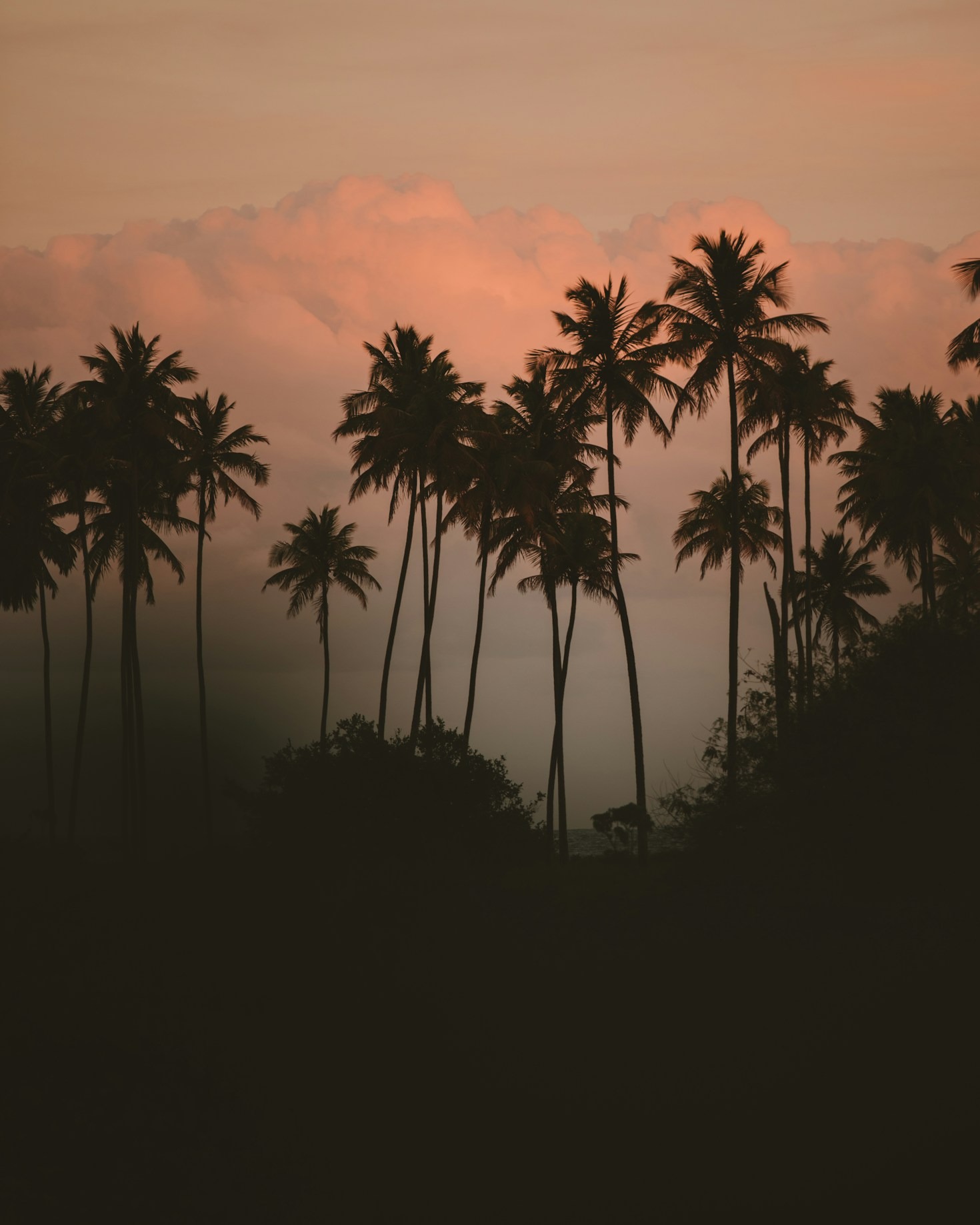 How to Immerse in Local Cultures