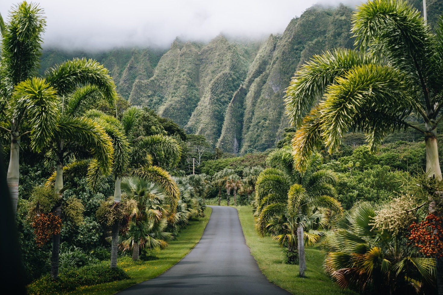 Why Exotic Travel Broadens Horizons