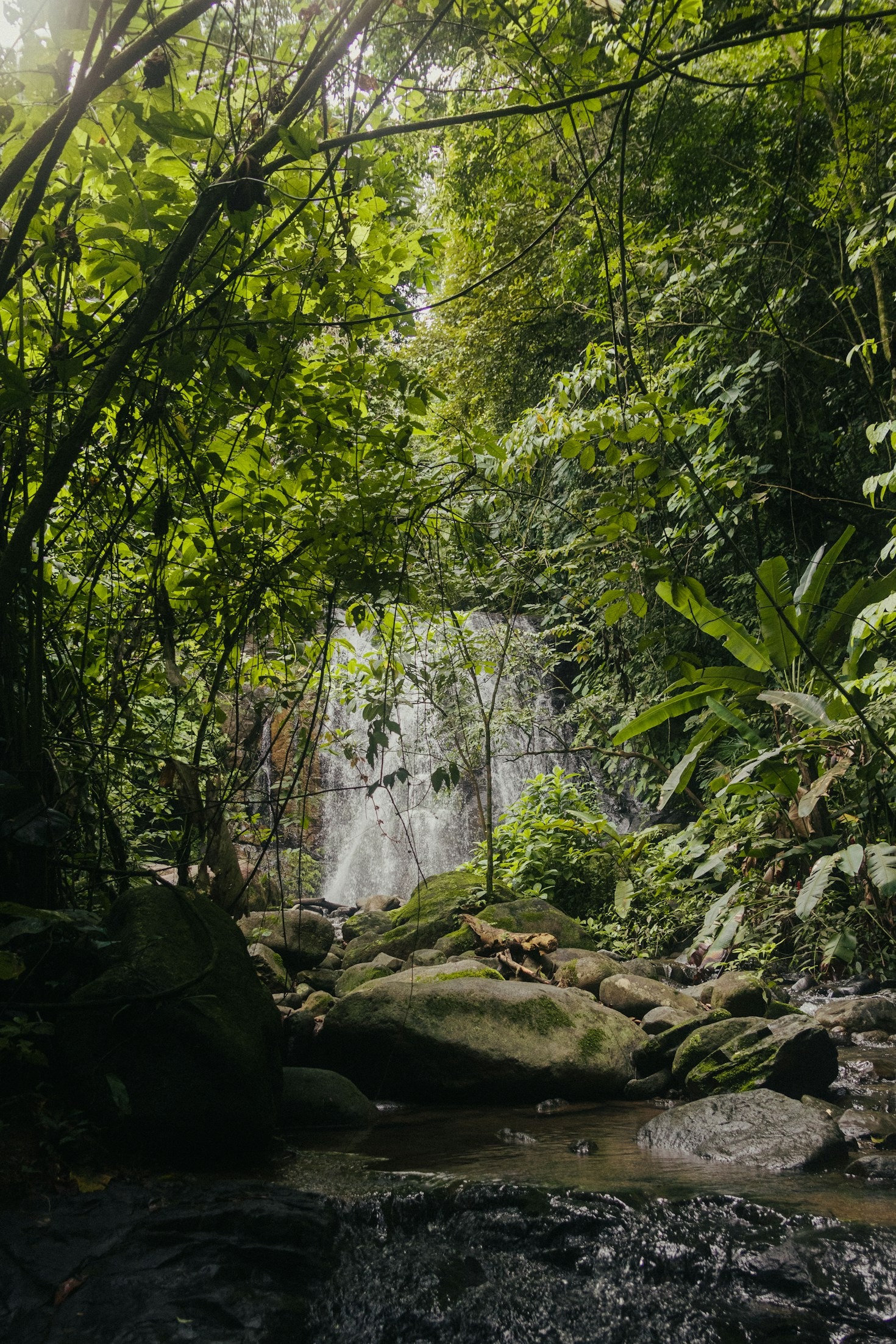 The Magic of Capturing Travel on Film
